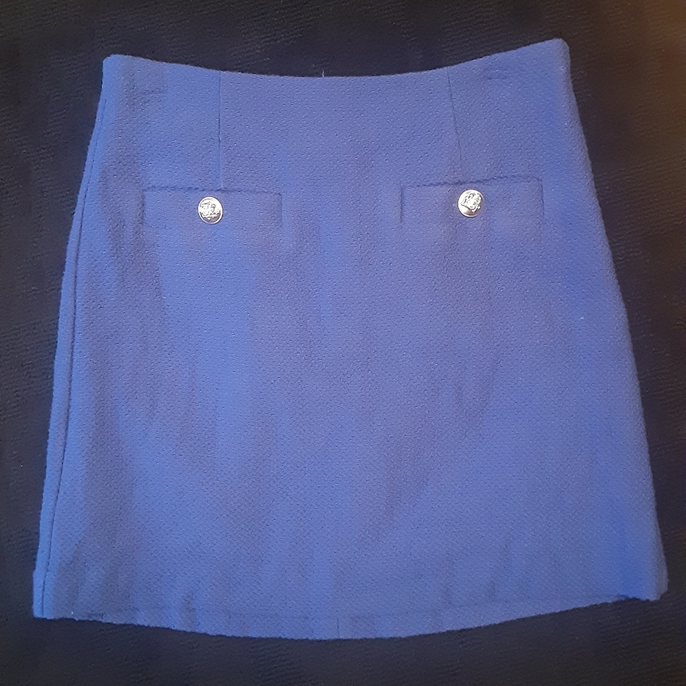 Ann Taylor Mini Skirt